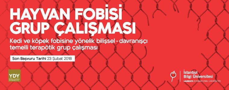 PDB Grup Çalışması: “Hayvan Fobisi"