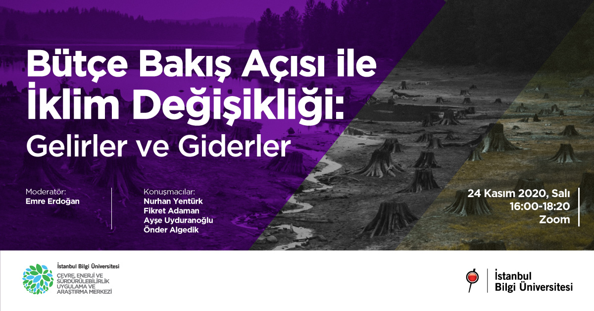 Bütçe Bakış Açısı ile İklim Değişikliği: Gelirler ve Giderler