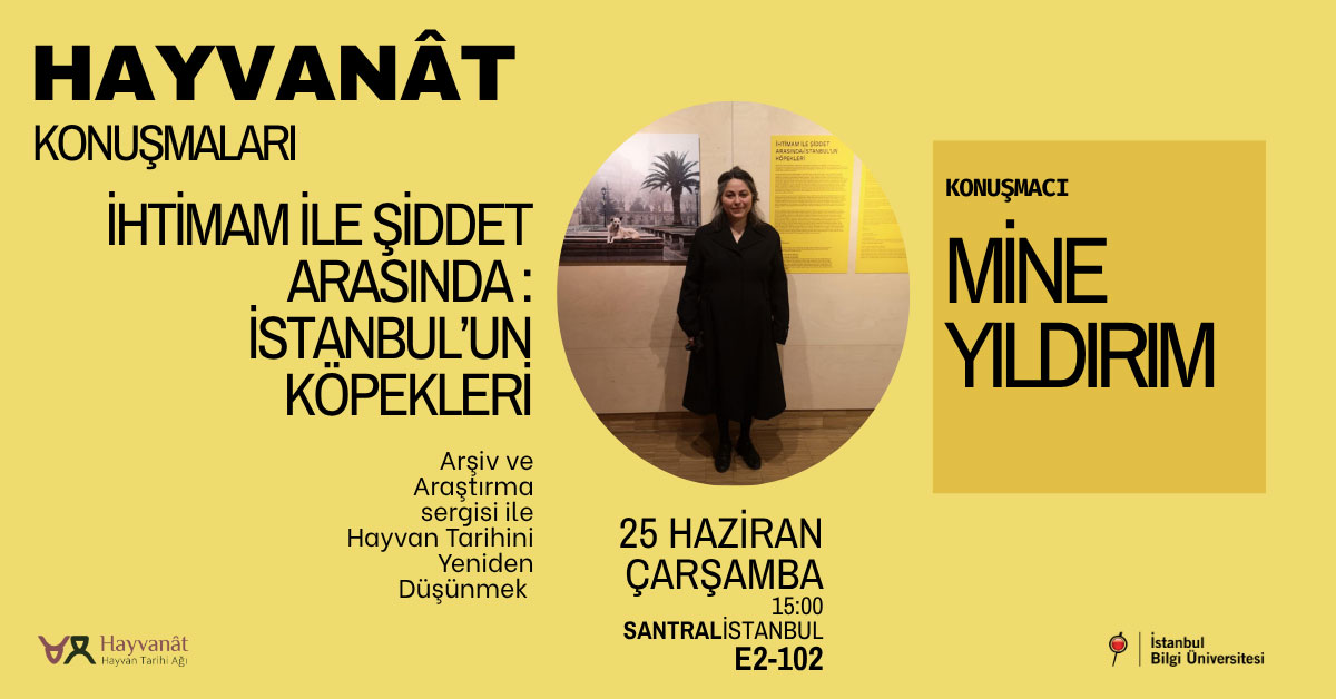 Hayvanat Konuşmaları: İhtimam İle Şiddet Arasında - İstanbul'un Köpekleri