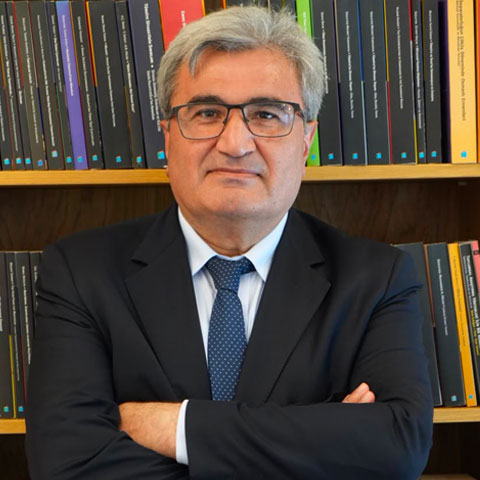 Ömer Say, Prof.