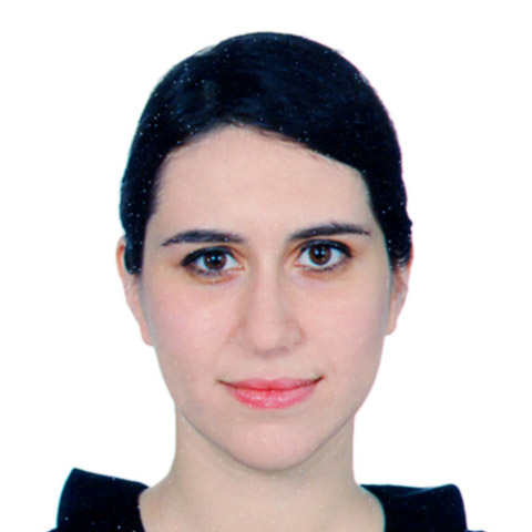 Nilay Kaya Faculty Member, PhD