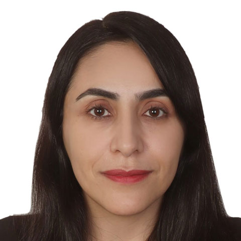 Sakineh Babaei Faculty Member, PhD
