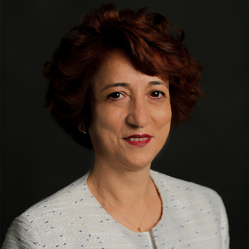 Hülya Şişli Dr. Öğr. Üyesi