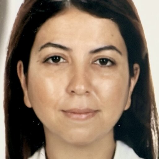 Aycan Çakmak Reyhan Faculty Member, PhD