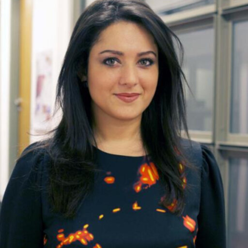 Elif Elçin Dereli Prof.